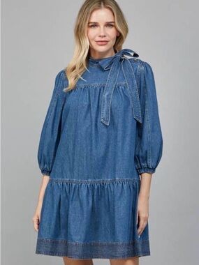 NWOT Fate denim dress
